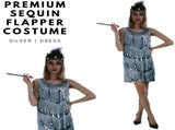 Charleston Sequin Flapper Fringe Costume Tassel Party Fancy Dress 20s 30s - Silver V563-12095-SILVER