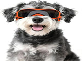 Dog Sunglasses Medium Breed, Dog Goggles UV Protection, Cycling Eye Protection for Large Dogs, V1192-AZ-W-6333
