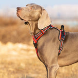True Love No Pull Explosion Proof Dog Harness - Red, XS ZAP-TLH56512-46