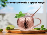 Moscow Mule Mugs of 4 18-oz Pure Plating Stainless Steel Drinking Cup with 4 Cocktail V1259-DP01-A-3775