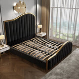 Queen Size Black Velvet Fabric Golden Metal Storage Elegant Luxury Bedframe V357-STARSHINE-QUEEN-BK-A