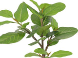 Potted Artificial Lofty Fig Ficus Tree 92cm V637-84504FIG