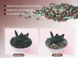 2.2lbs Cactus Soil Potting Mix 0.25in Succulent Soil Mix, Succulent Potting Mix, Cactus Potting V1192-AZ-W-17942