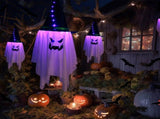 Halloween Ghost Light Outdoor Indoor LED Glowing Party Bar Room Ambient Decoration V1294-YM0901-3119240060211