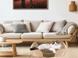 Dog Bed for Small Medium Dogs, Cat Bed for Indoor Cats. Washable Orthopedic Dog Bed. Removable V1107-136-87440-CML1