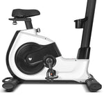 Lifespan Fitness EXC-100 Commerical Exercise Bike V420-LFEX-EXC100