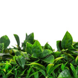 Native Tea Tree Vertical Garden / Green Wall UV Resistant 100cm X 100cm V637-1019051