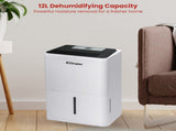 Dimplex Portable 12L Dehumidifier with Air Purifier in Black and White DC12DEPUR