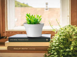 Pots Plants, 8 Pack 4 inch Plastic Planters with Multiple Drainage Holes and Trays - Plant Pots V1189-WXFWAL-20260319-01176