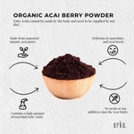 400g Acai Powder 100% Organic - Pure Superfood Amazon Berries V238-SUPDZ-28988433858640