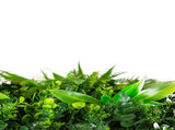 Wild Tropics Vertical Garden / Green Wall UV Resistant 100cm X 100cm V637-DP1019775