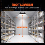 4 Pack LED Canopy Lights 80W 8800LM 5000K Daylight Outdoor Canopy Lighting V952-TPDDS80W4JT0CK09FV7