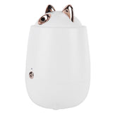 Facial Steamer Portable White Nano Thermal Spray Humidifier Skin Humidifier V1294-YM0901-3113210176111