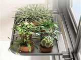 Foldable Window-Mounted Drying Rack with Clamp-on Design for Shoes, Plants & Small Items V1107-CS-CKZWJ