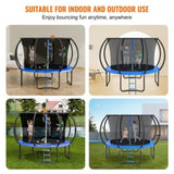 10FT, 330 lbs with Enclosure Net, Ladder, and Curved Pole, Heavy Duty V952-YXBC10YCHWYX52X5HV0