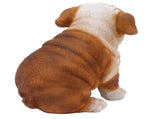 English Bulldog Puppy Statue Lifelike Resin Bulldog Sculpture for Garden Lawn Porch Decoration V1294-YM0703-3111230093412