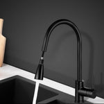 Cefito Kitchen Mixer Tap Pull Out 2 Mode Sink Faucet Basin Laundry Black TAP-A-82H11-BK