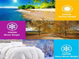 Goose Feather Down Quilt 500 GSM Duvet Doonas King240x210cm V201-W12782670