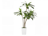 Lambu Artificial Dracaena Tree Lifelike Fake Leaves Artificial Plants Indoors UM1265-6FT-AU
