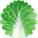 Cute Cabbage-Shaped Fleece Blanket Fun and Cozy Throw for Naps, Office Use, Air Conditioning, or V888-ELOSUNG43138