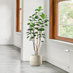 SOGA 4X 180cm Plastic Potted Polyscias Scutellaria Plant Home Garden Artificial Tree, Home Decor APLANTFHJQD18080X4