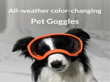 Dog Sunglasses Medium Breed, Dog Goggles UV Protection, Cycling Eye Protection for Large Dogs, V1192-AZ-W-6333