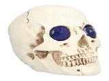 Skull Ornaments Vivid Lightweight Easily Clean Add Horror Ambience Halloween Props for Party Haunted V1294-YM0714-3115210185211