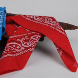 20x BANDANA Paisley 100% COTTON Head Wrap Durag Bandanna Scarf Mask BULK - Assorted Colour Pack V563-20BANDANA-ASST
