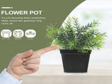 Succulent Planter Plastic Black for 100Pcs 2.8x2.7x2.2in V1370-AZ4-16788
