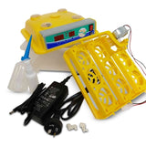 Electric 8 Egg Incubator + Candler Hatching Eggs Chicken Quail Duck V238-SUPDZ-32525879574608
