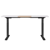 Artiss Standing Desk Motorised Electric Dual Motor 120CM HASD-268-BKDF-NWDB-120