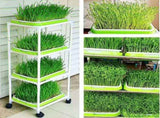 Tutuviw BPA Free Hydroponics Soilless Seeds Sprouter Microgreen Seed Sprouter Trays Seed Germination V1189-WXFWAL-20260319-01184