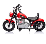 Single Rider Cruiser Bike 36V V377-364647