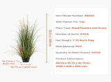Artificial Grass Plant, 2 Pack 1499mm Faux Reed Flower Grass in Pot, Premium PVC Fake Greenery V952-DPKLWHLS59IND2ABK001V0