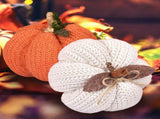 Handmade Knitted Fabric Pumpkin Ornament, Fall Harvest Decorative Pumpkin, Stuffed Polyester V1188-MS-804-02