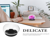 Decorative Glass Dome Cover with Preserved Flower - Home Decor V1192-AZ-W-30342