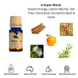 Gift Box - Cone Rose Gold Aroma Necklace Purify Oil Blend V760-GBAJ - 23