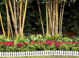 8pcs White Plastic Garden Fence for Patio and Garden Paths, Sturdy and Smooth Surface Design, V1192-AZ-W-21474