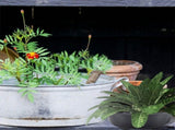 Set of 3 Bonsai Pots 15 Inch Deep Plastic with Drainage Holes for Garden, Yard, Living Room, Balcony V1192-AZ-W-21132