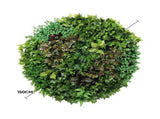 Artificial Green Wall Disc Art 150cm Dense Green Sensation V637-DP1013972W