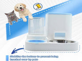 Automatic Pet Feeder and Water Bowl for Dogs and Cats - Blue V1258-DP02-BOL-553