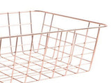 Freezer Basket Rust Proof Large Capacity Iron Storage Bin for Refrigerator Fruits Snacks Drinks 2pcs V1294-YM0901-3117230240513