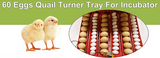 Rooster Farms Electric 60 Egg Incubator Accessories for Chicken Quail Duck V238-SUPDZ-33454539334