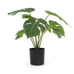 Potted Artificial Split Philodendron Plant With Real Touch Leaves 35cm V77-8870011