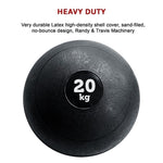 20kg Slam Ball No Bounce Crossfit Fitness MMA Boxing BootCamp V63-821663