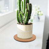 10Pcs Lightweight Cork Plant Coasters with Smooth Round Edges for Daily Flowerpot Protection V1369-AZ3-W-10511