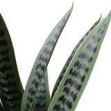 Artificial Snake Plant UV Resistant 60cm V77-1009514