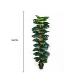 Artificial Monstera Adansonii Money Plant With Decorative Pot 180cm V637-DP75263