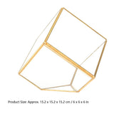 Gold Geometric Shape Succulents Plant Flowerpot Glass Planter Landscape Home Table Decoration V1294-YM0901-3112200036011