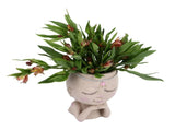 Face Flower Pot Head Planter Pot Succulent Planter Cute Resin Cactus Planter with Closed Eyes Indoor V1294-YM0710-3111230269011